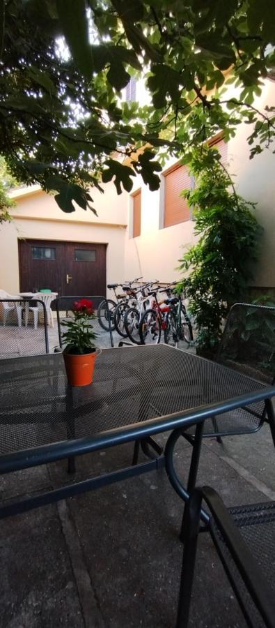 Adria Apartments Sveti Filip i Jakov Exterior photo